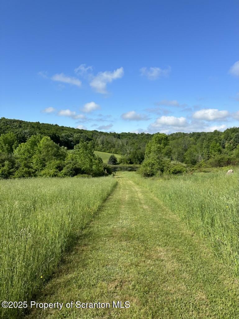 105 Grimms Road Honesdale, PA 18431 - Photo 22 of 107 mowed path
