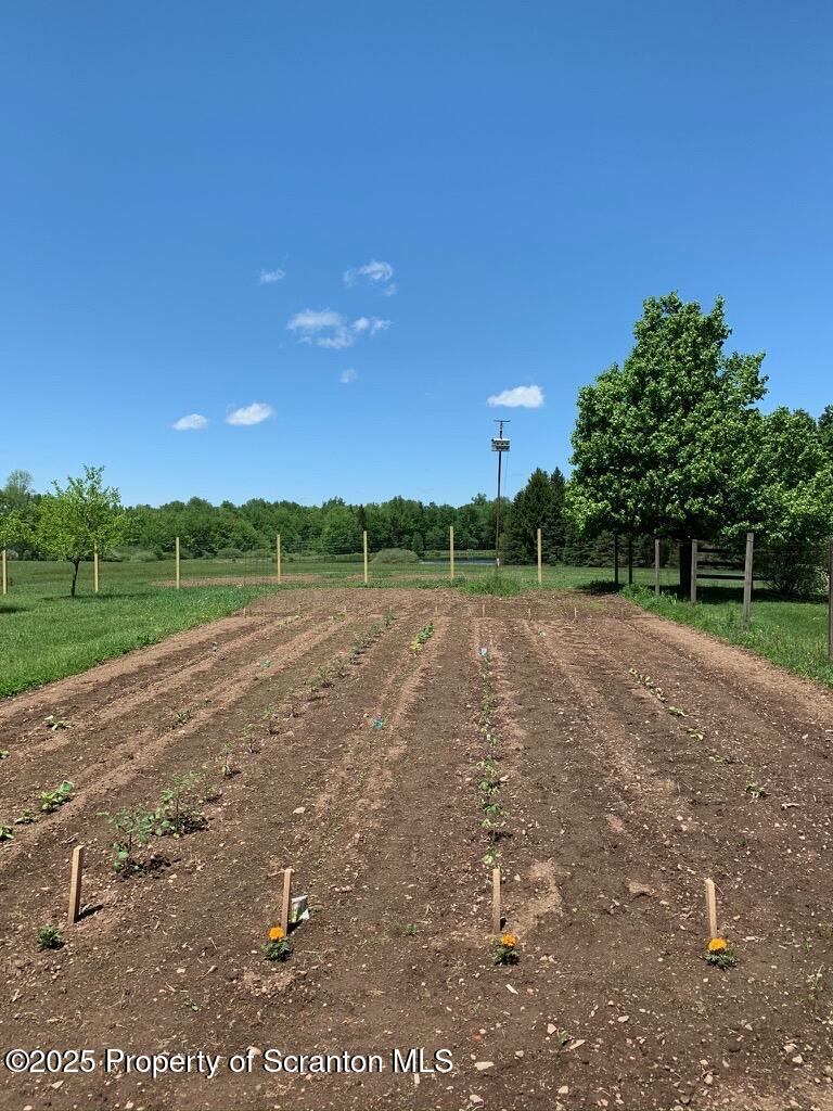 105 Grimms Road Honesdale, PA 18431 - Photo 35 of 107 garden area