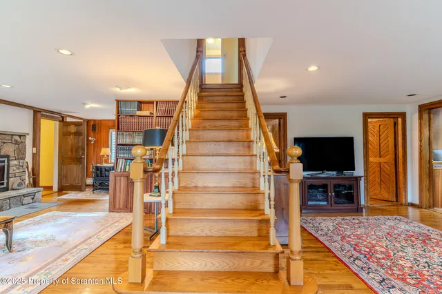 a view of a lush green forest
