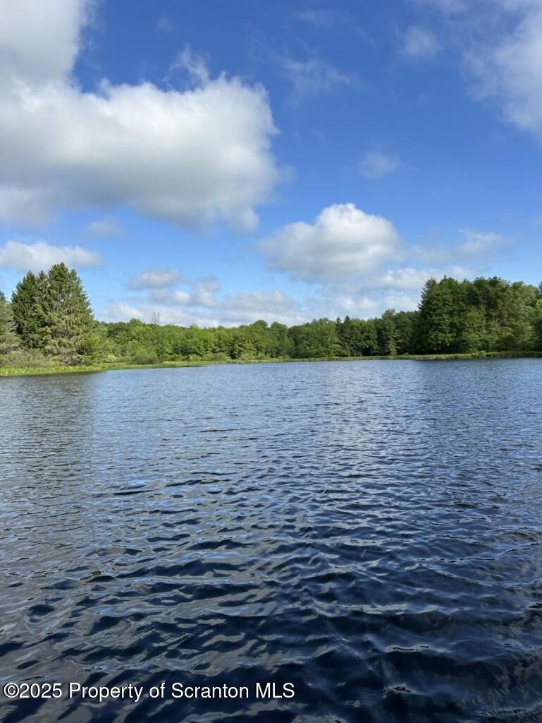 105 Grimms Road Honesdale, PA 18431 - Photo 65 of 107 lake