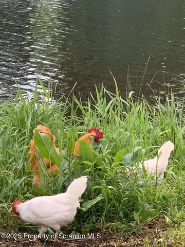 $1,700,000 | 105 Grimms Road, Honesdale, PA 18431