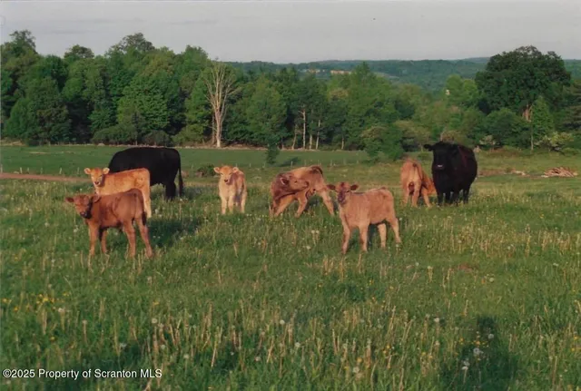 $1,700,000 | 105 Grimms Road, Honesdale, PA 18431