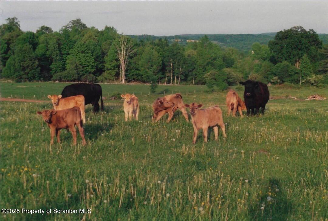 105 Grimms Road Honesdale, PA 18431 - Photo 69 of 107 pasture