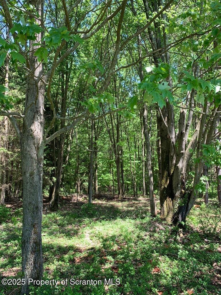 105 Grimms Road Honesdale, PA 18431 - Photo 70 of 107 woods