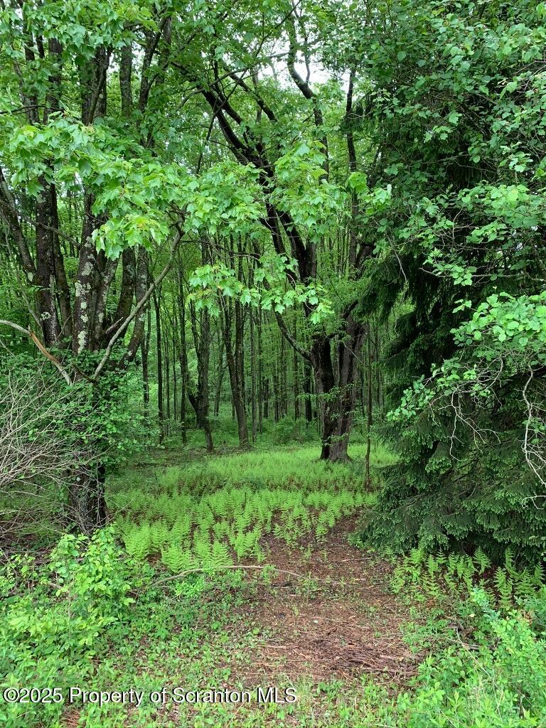 105 Grimms Road Honesdale, PA 18431 - Photo 71 of 107 woods