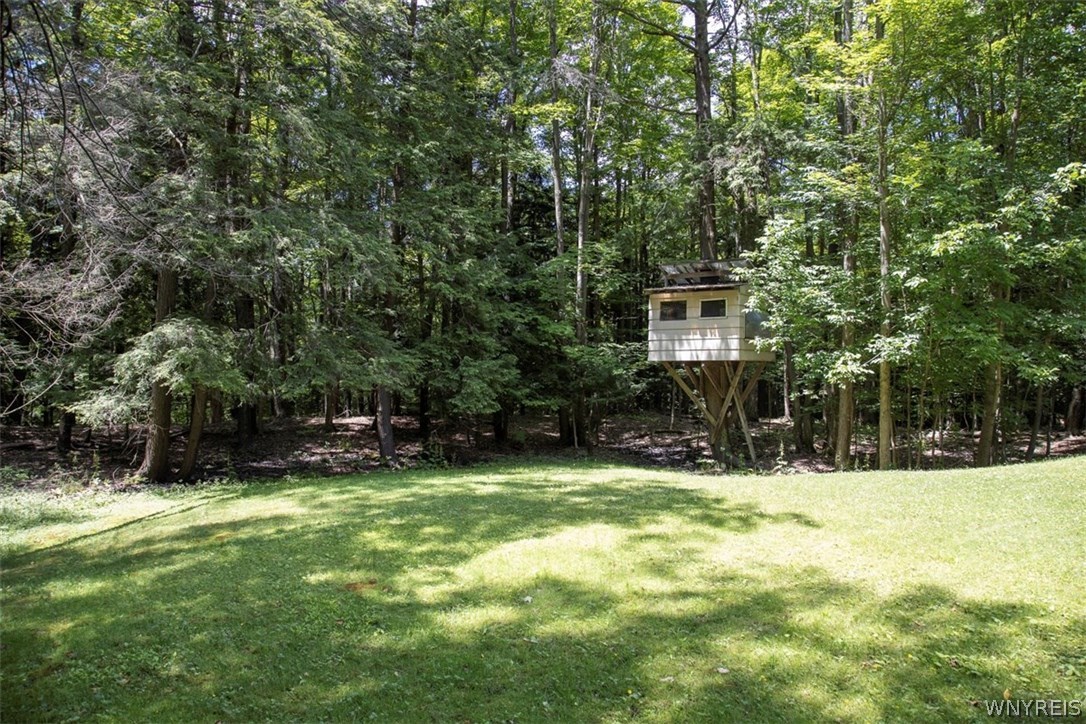 38 Woodstock Road Concord, NY 14069 - Photo 36 of 40