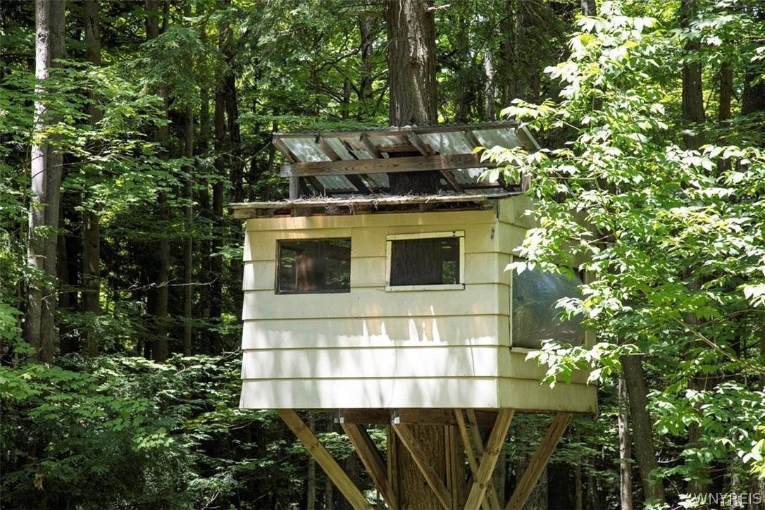 38 Woodstock Road Concord, NY 14069 - Photo 37 of 40