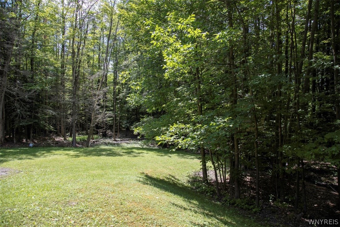 38 Woodstock Road Concord, NY 14069 - Photo 38 of 40