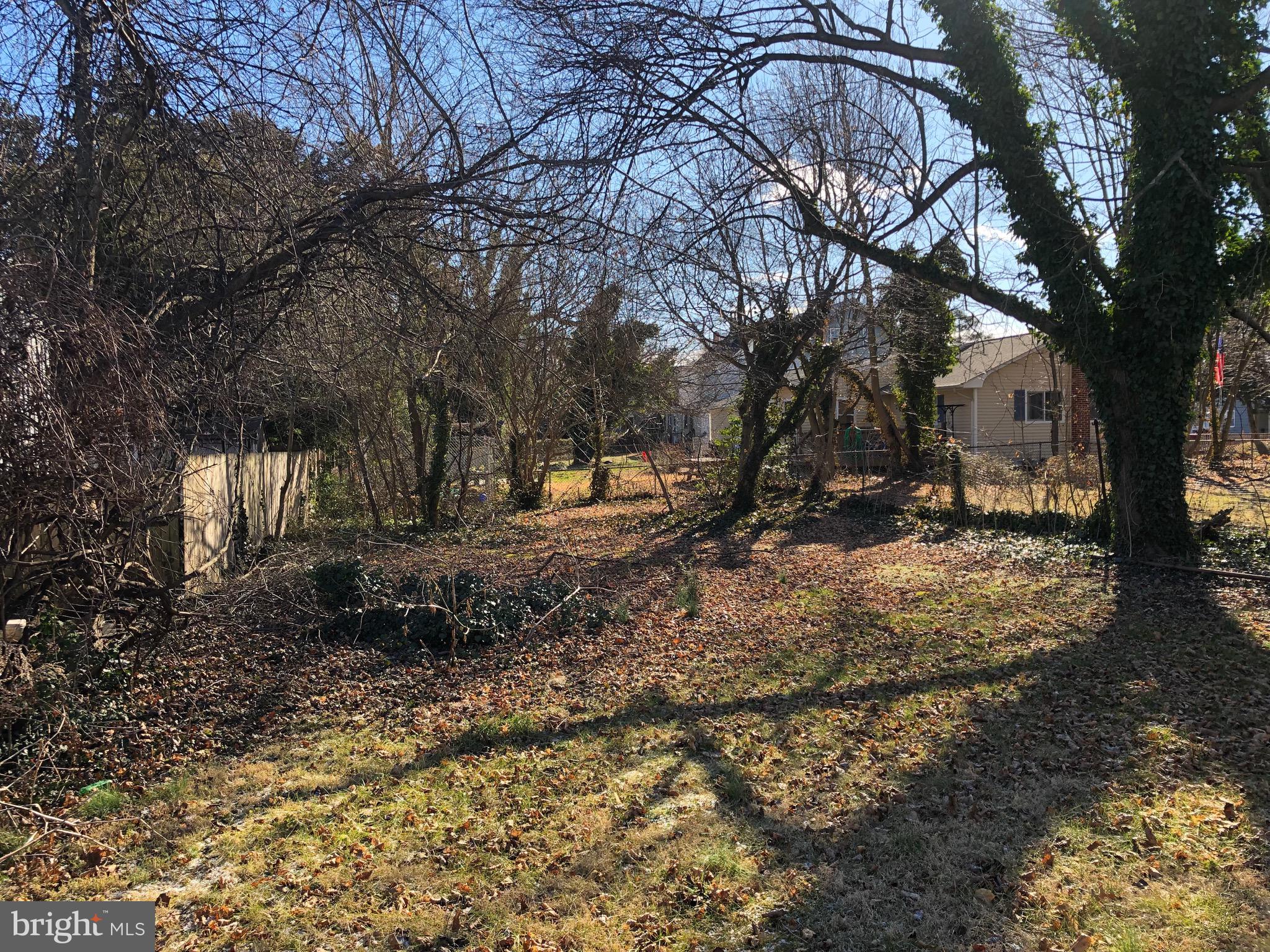 319 Atlantic Street Bridgeton, NJ 08302 - Photo 46 of 49 back yard goes to fence