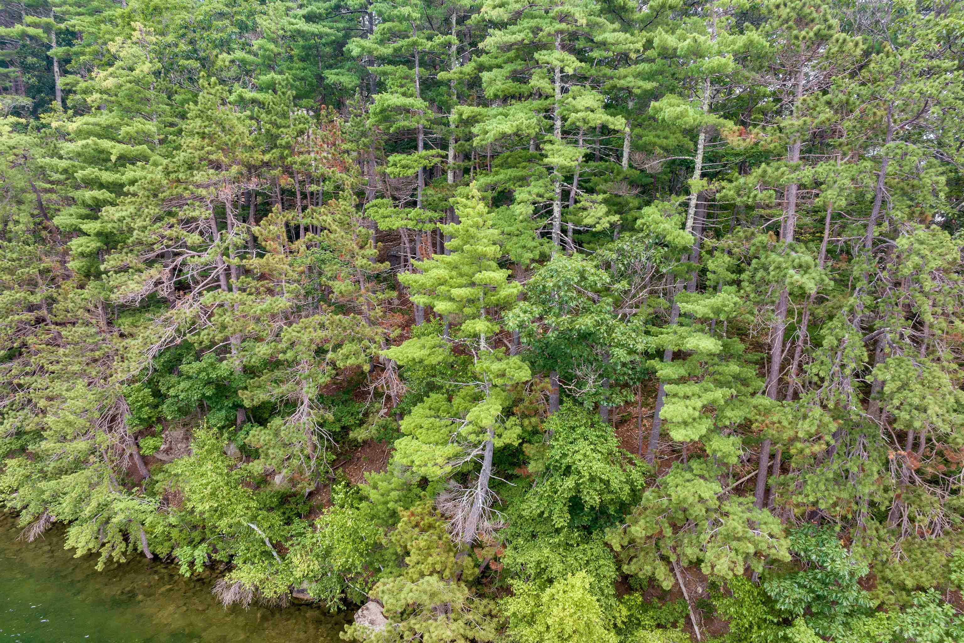 Lot 48-2 Owls Head Point Road, Unit 48002 New Durham, NH 03855 - Photo 6 of 18