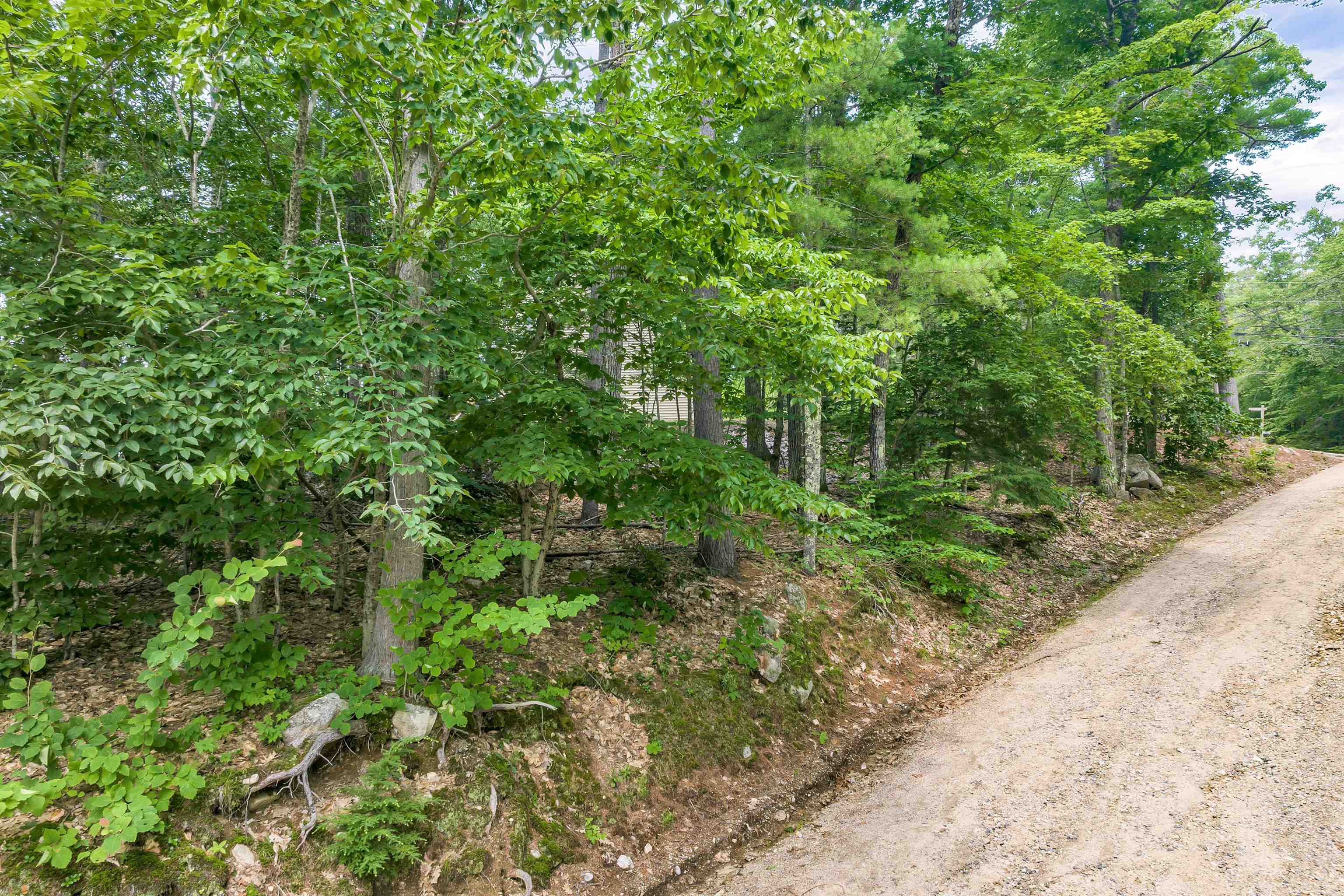 Lot 48-2 Owls Head Point Road, Unit 48002 New Durham, NH 03855 - Photo 9 of 18