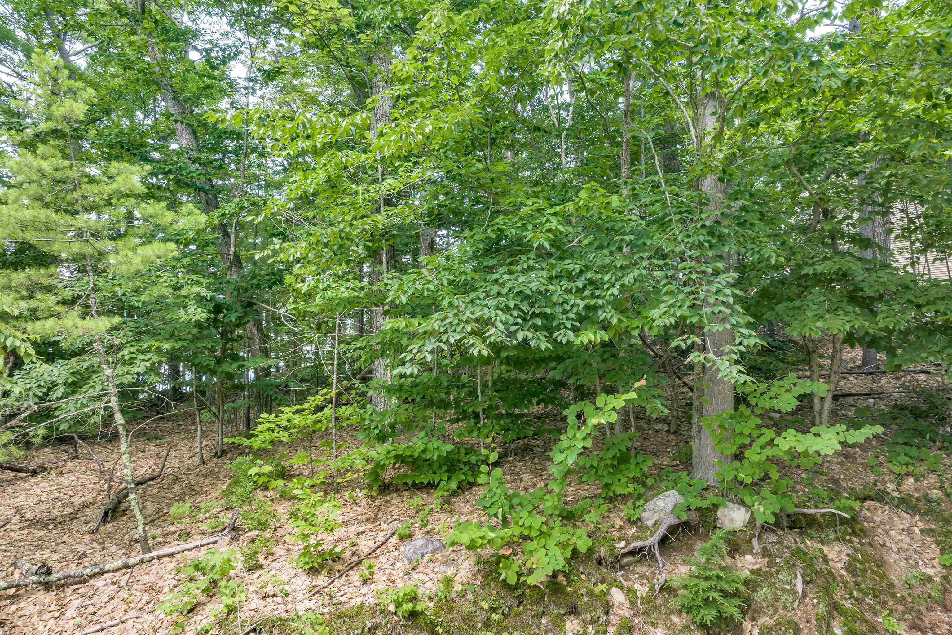 Lot 48-2 Owls Head Point Road, Unit 48002 New Durham, NH 03855 - Photo 10 of 18