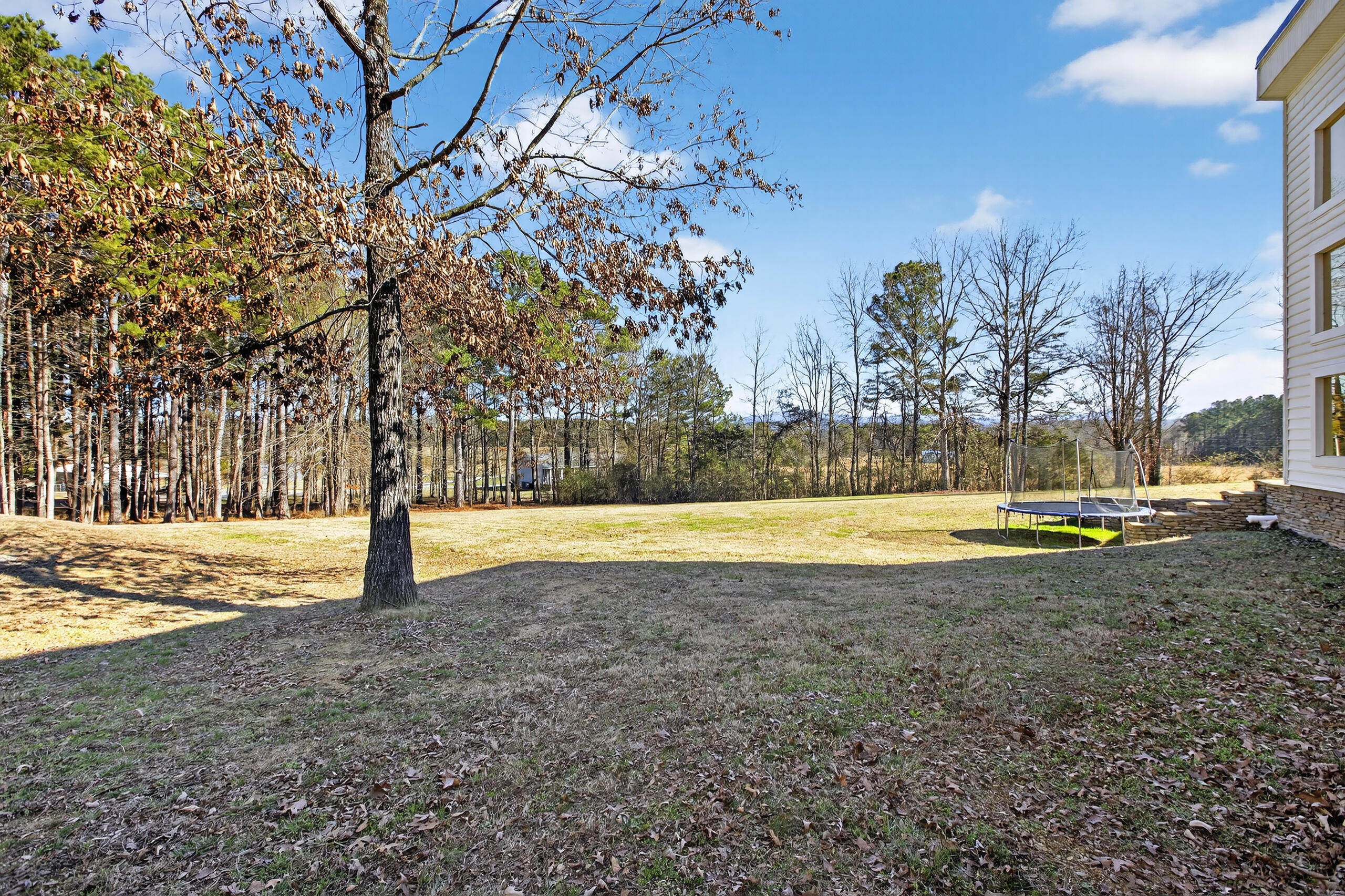 3195 Ladd Springs Road Southeast Old Fort, TN 37362 - Photo 72 of 85 013_349A8509