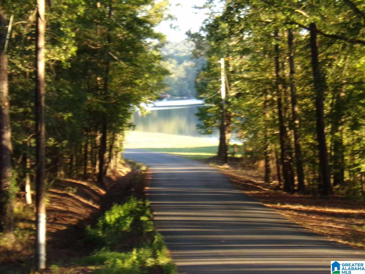 13419 Ski Lake Road McCalla, AL 35111 - Photo 34 of 35