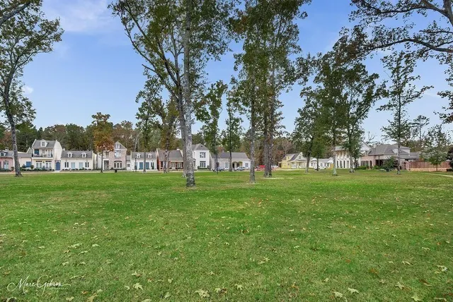 a view of outdoor space with garden and trees