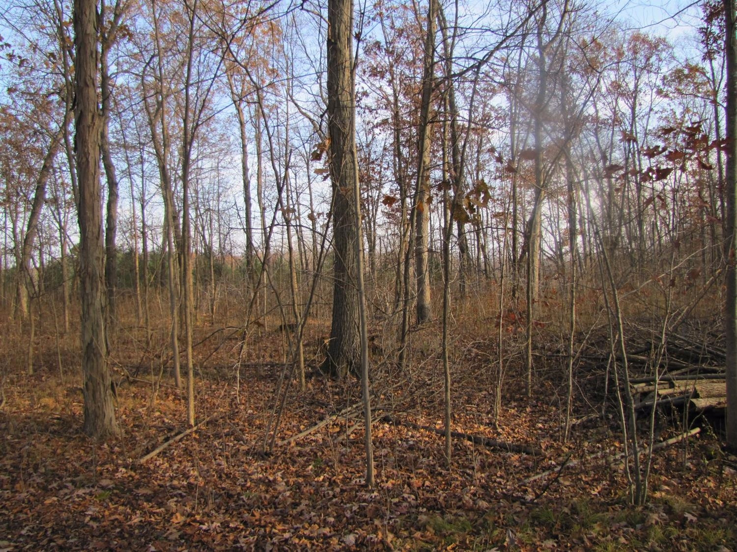 0 East Clyde Road Howell, MI 48855 - Photo 1 of 10 Photo 1