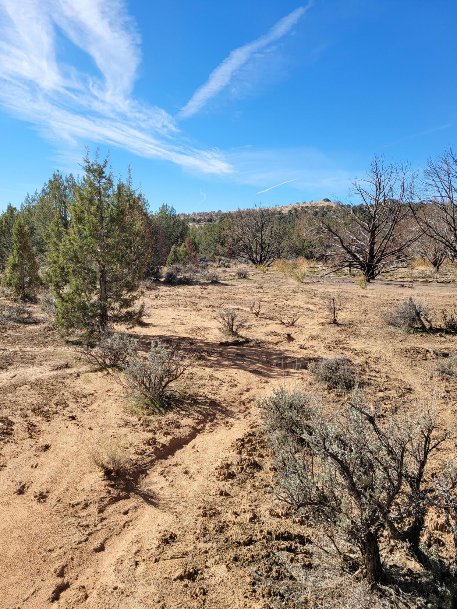Parcel# Parcel St. George, UT 84770 - Photo 1 of 1 South view