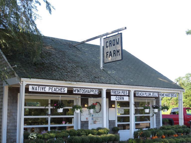 11 Crowell Road Sandwich, MA 02563 - Photo 15 of 19 a view of sign in front of building