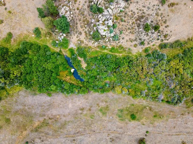 a view of a garden with plants