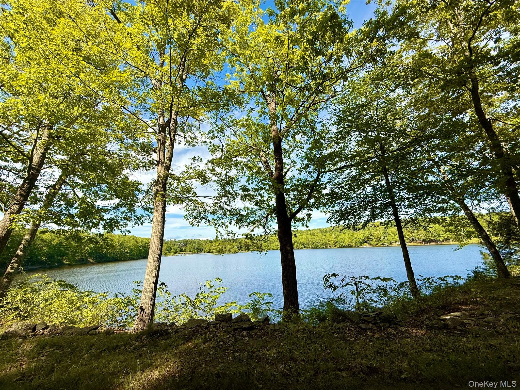 96 Plank Road Mongaup Valley, NY 12762 - Photo 27 of 27
