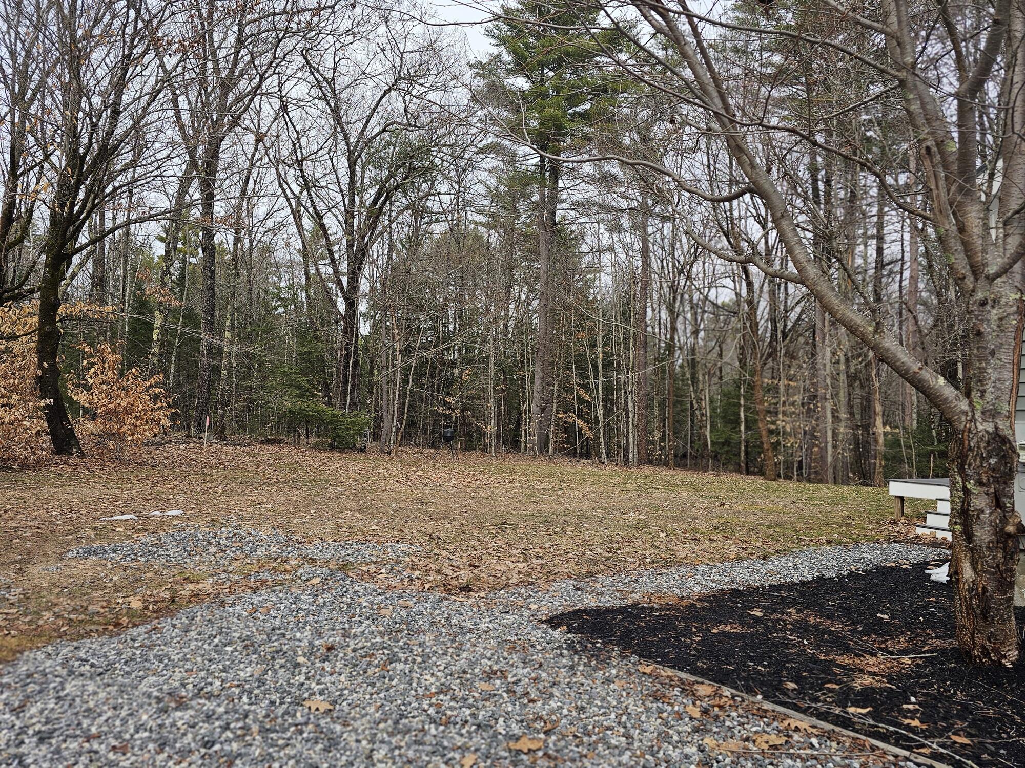 34 Carsley Road Harrison, ME 04040 - Photo 34 of 34 back yard resized