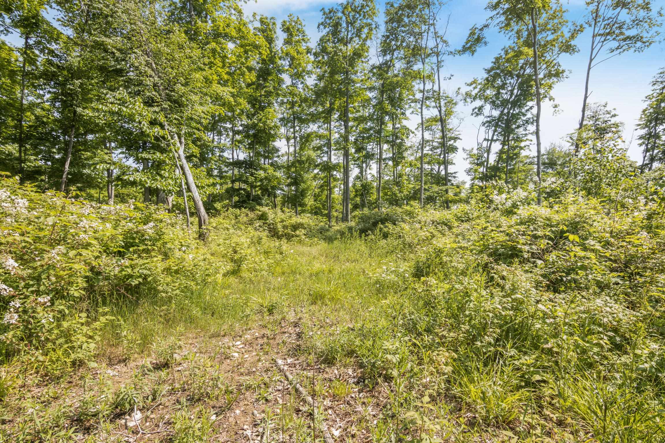 Rex Beach Road Ellsworth, MI 49729 - Photo 14 of 31 Gallery Image 14