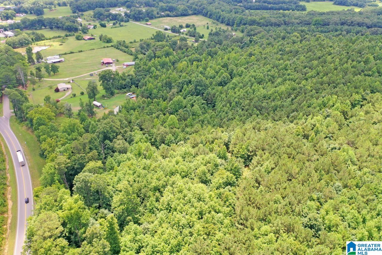 0 US Highway 278 Altoona, AL 35952 - Photo 6 of 14