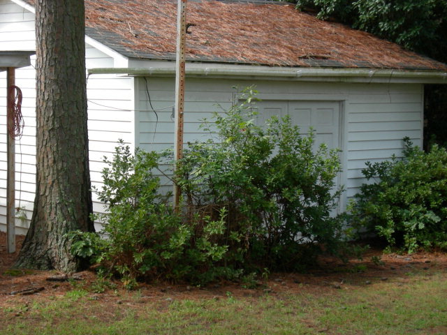 2801 Pelham Road Rocky Mount, NC 27804 - Photo 16 of 17 Additional Photo