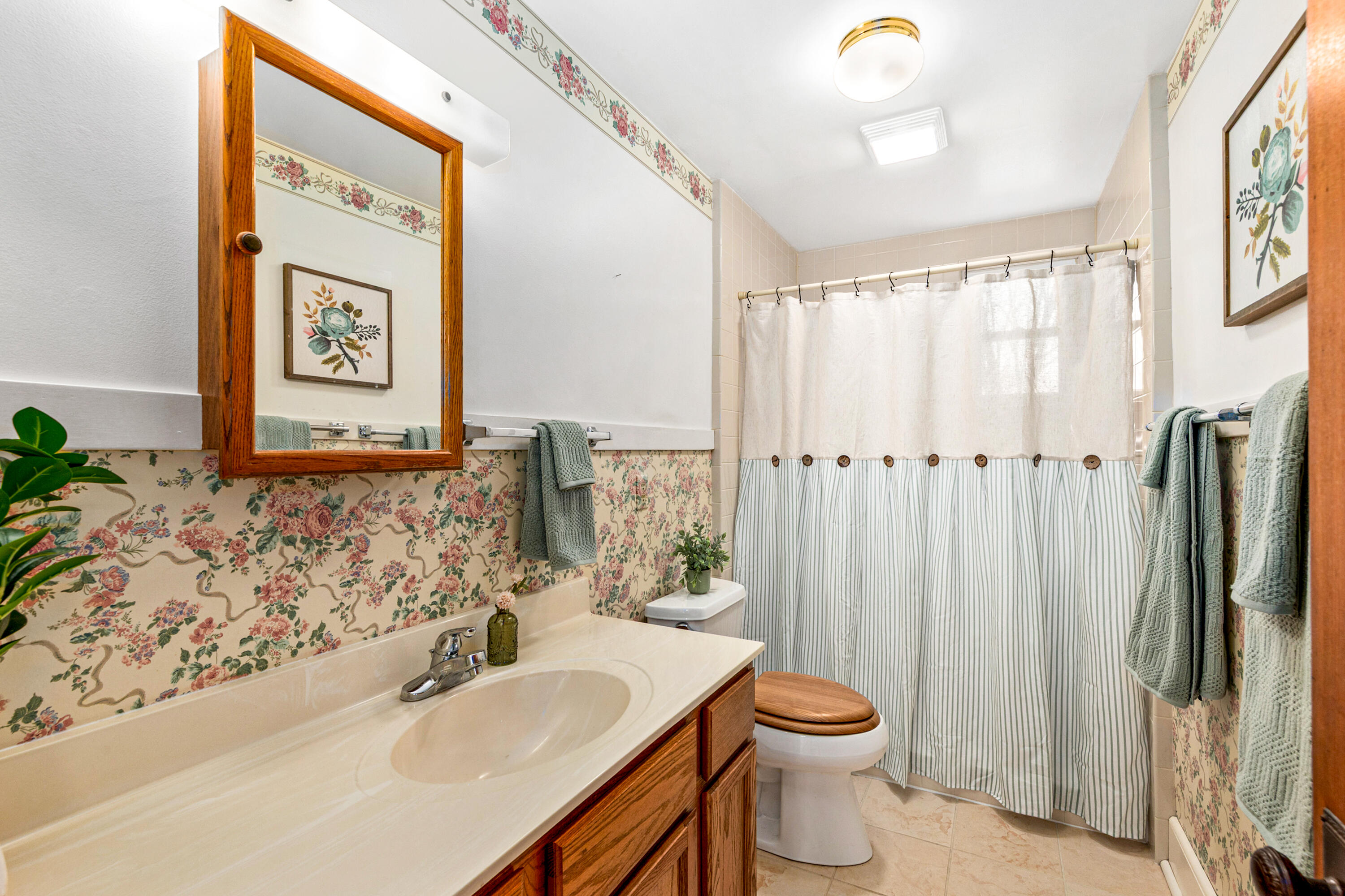 729 Palmyra Street Sullivan, WI 53178 - Photo 17 of 51 Main Bathroom