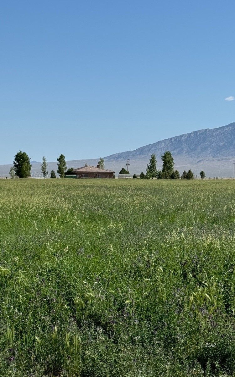 1199 Fire Station Road South Ely, NV 89301 - Photo 44 of 46