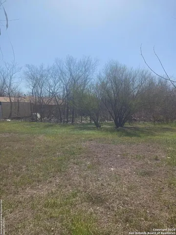 a view of a yard with a tree