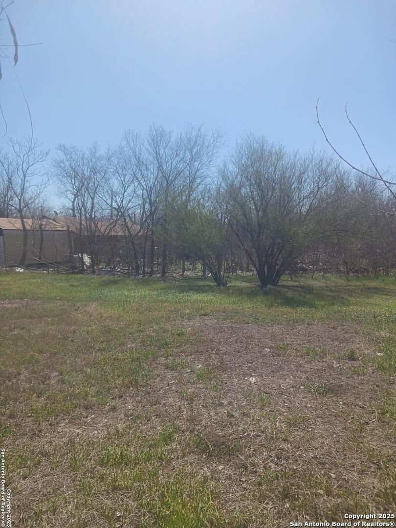 207 Rullman Avenue San Antonio, TX 78208 - Photo 3 of 4 a view of a yard with a tree