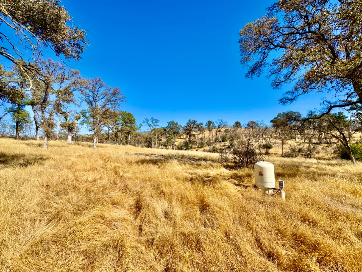 13031 Lone Tree Way Loma Rica, CA 95901 - Photo 11 of 19