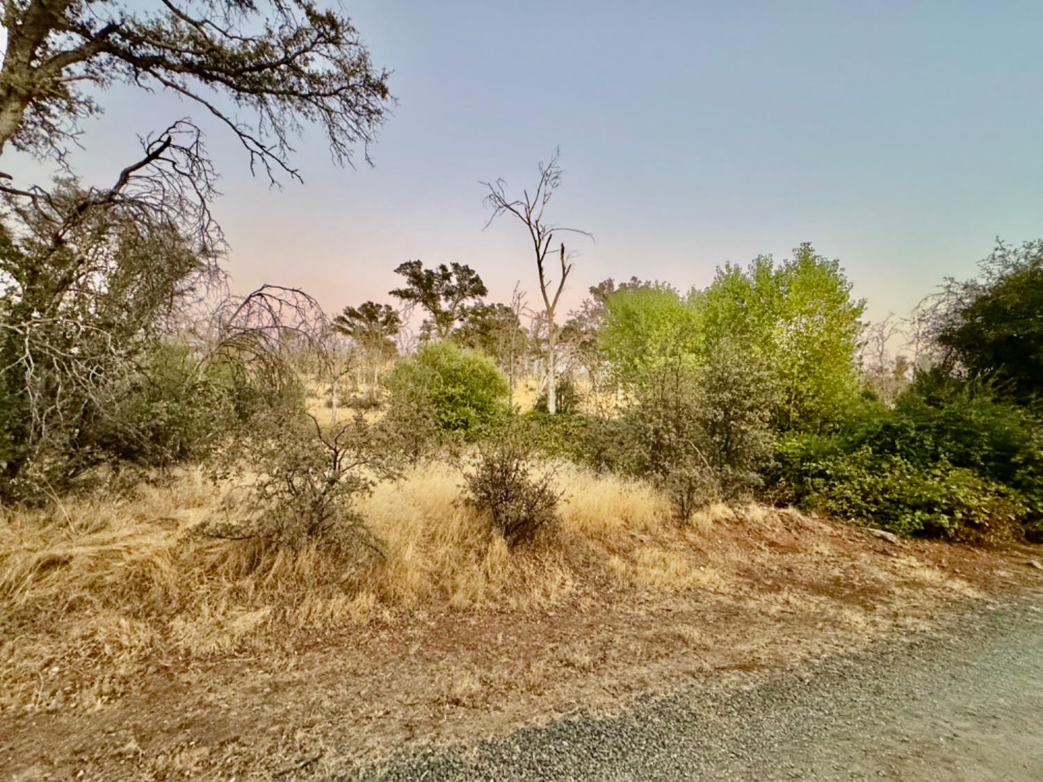 13031 Lone Tree Way Loma Rica, CA 95901 - Photo 12 of 19