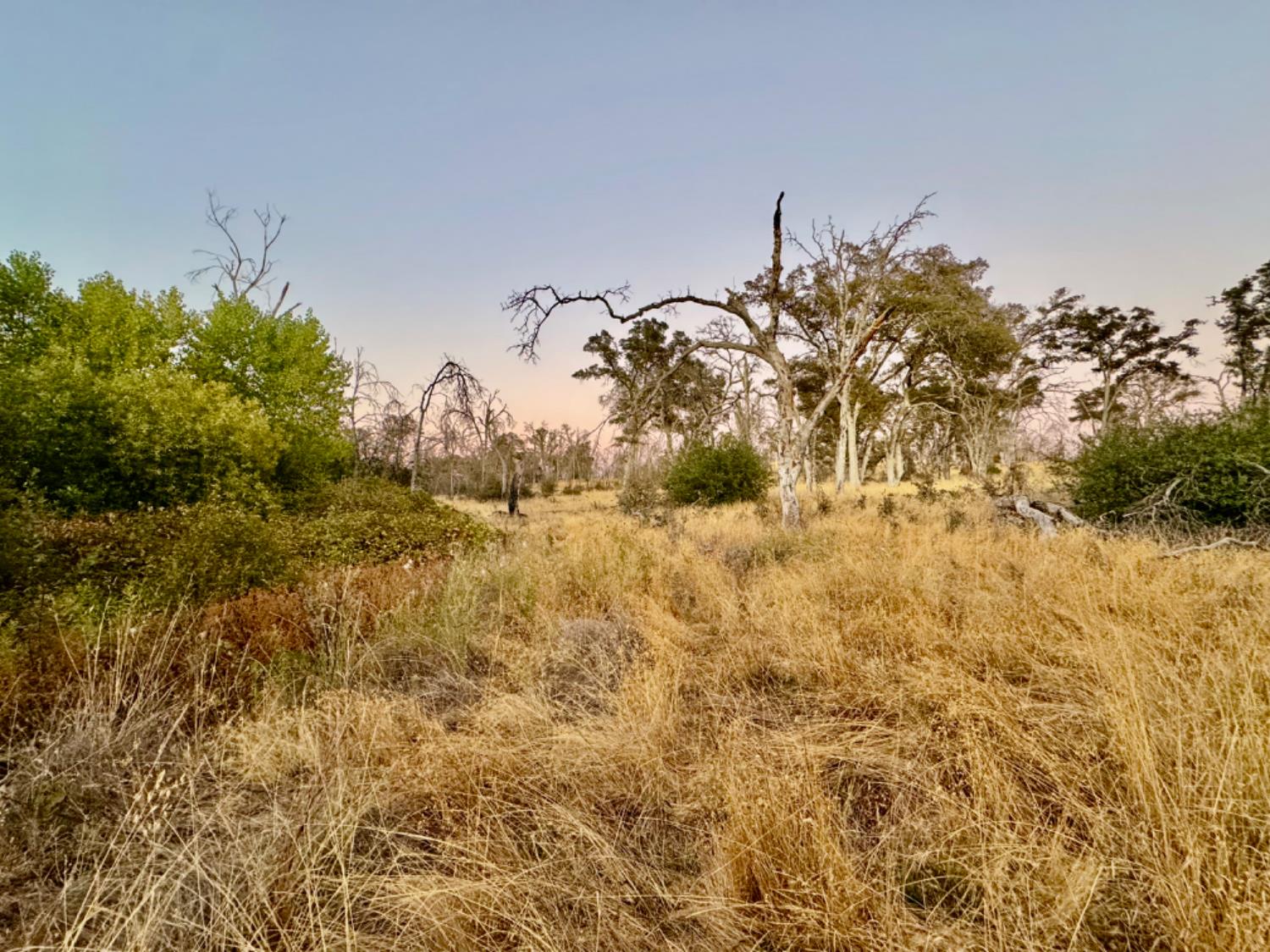 13031 Lone Tree Way Loma Rica, CA 95901 - Photo 14 of 19