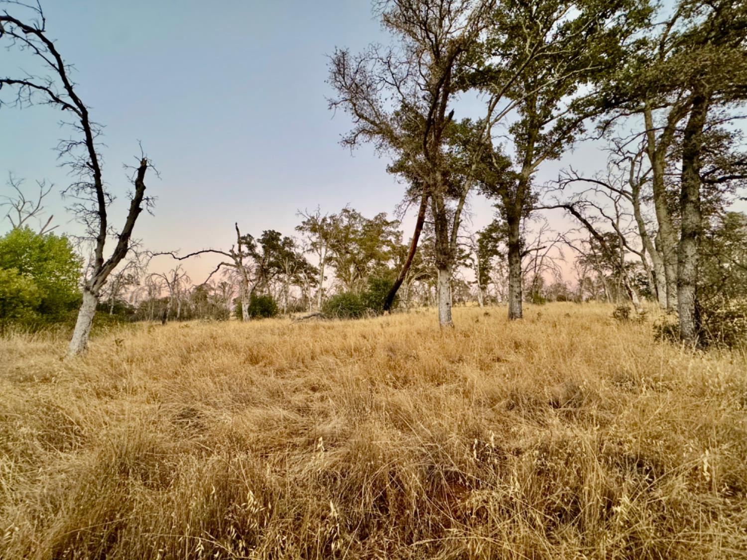 13031 Lone Tree Way Loma Rica, CA 95901 - Photo 15 of 19