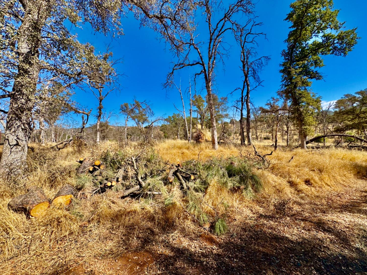 13031 Lone Tree Way Loma Rica, CA 95901 - Photo 4 of 19