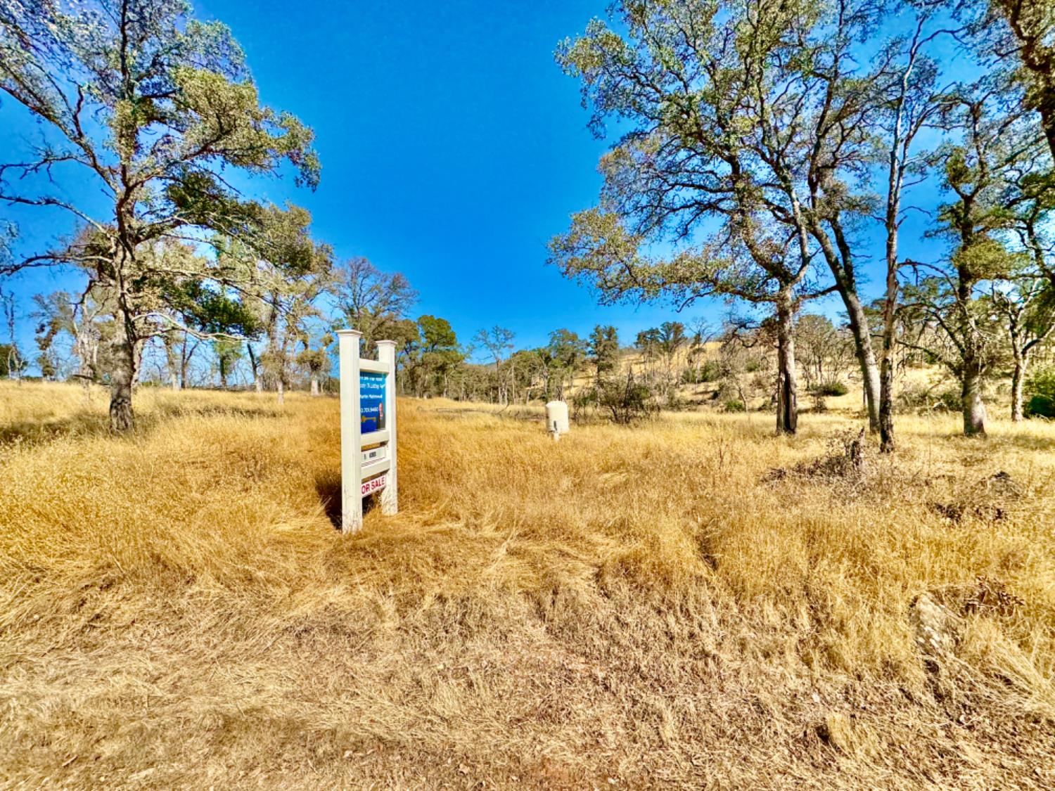 13031 Lone Tree Way Loma Rica, CA 95901 - Photo 5 of 19