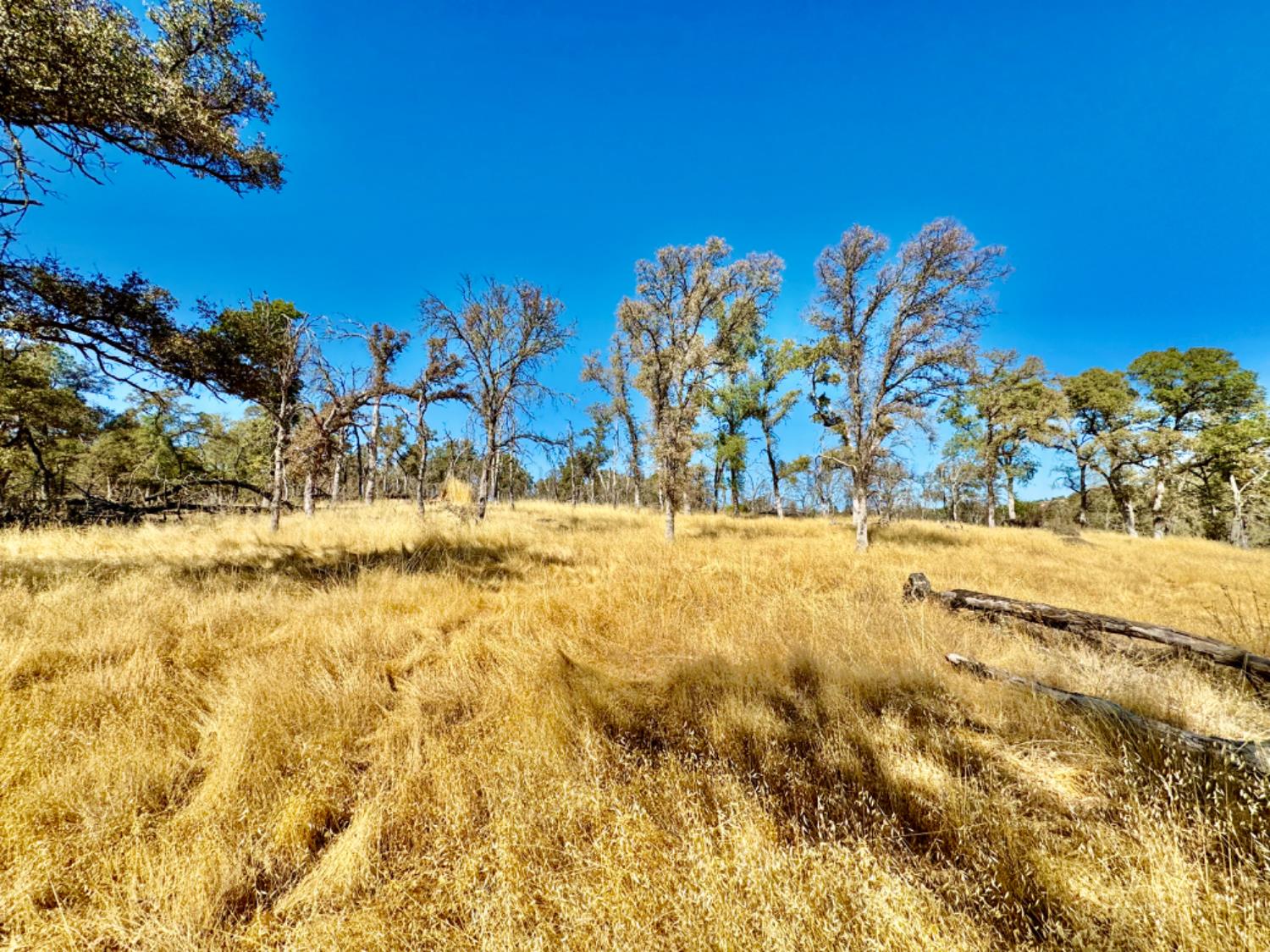 13031 Lone Tree Way Loma Rica, CA 95901 - Photo 6 of 19