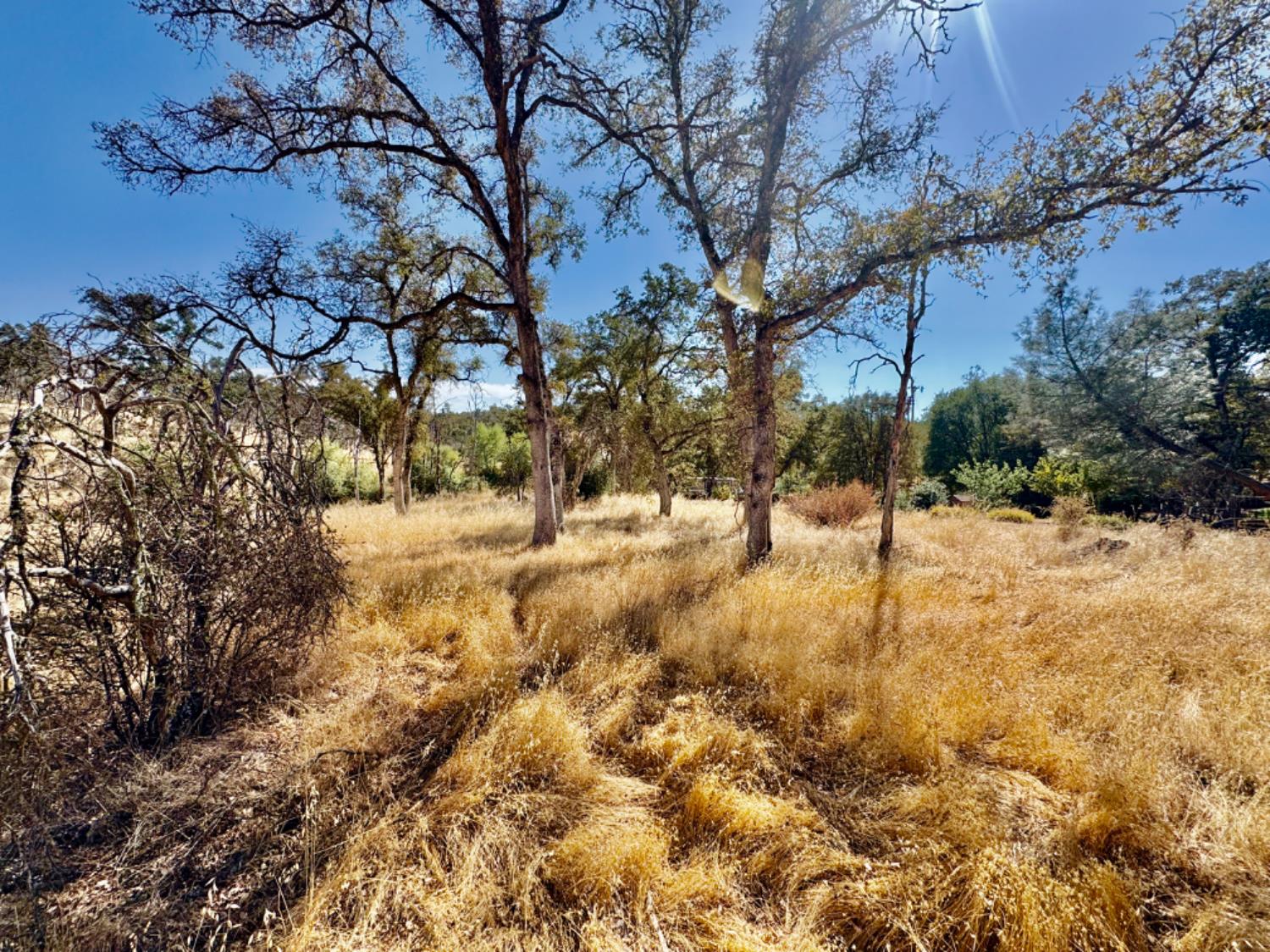 13031 Lone Tree Way Loma Rica, CA 95901 - Photo 8 of 19