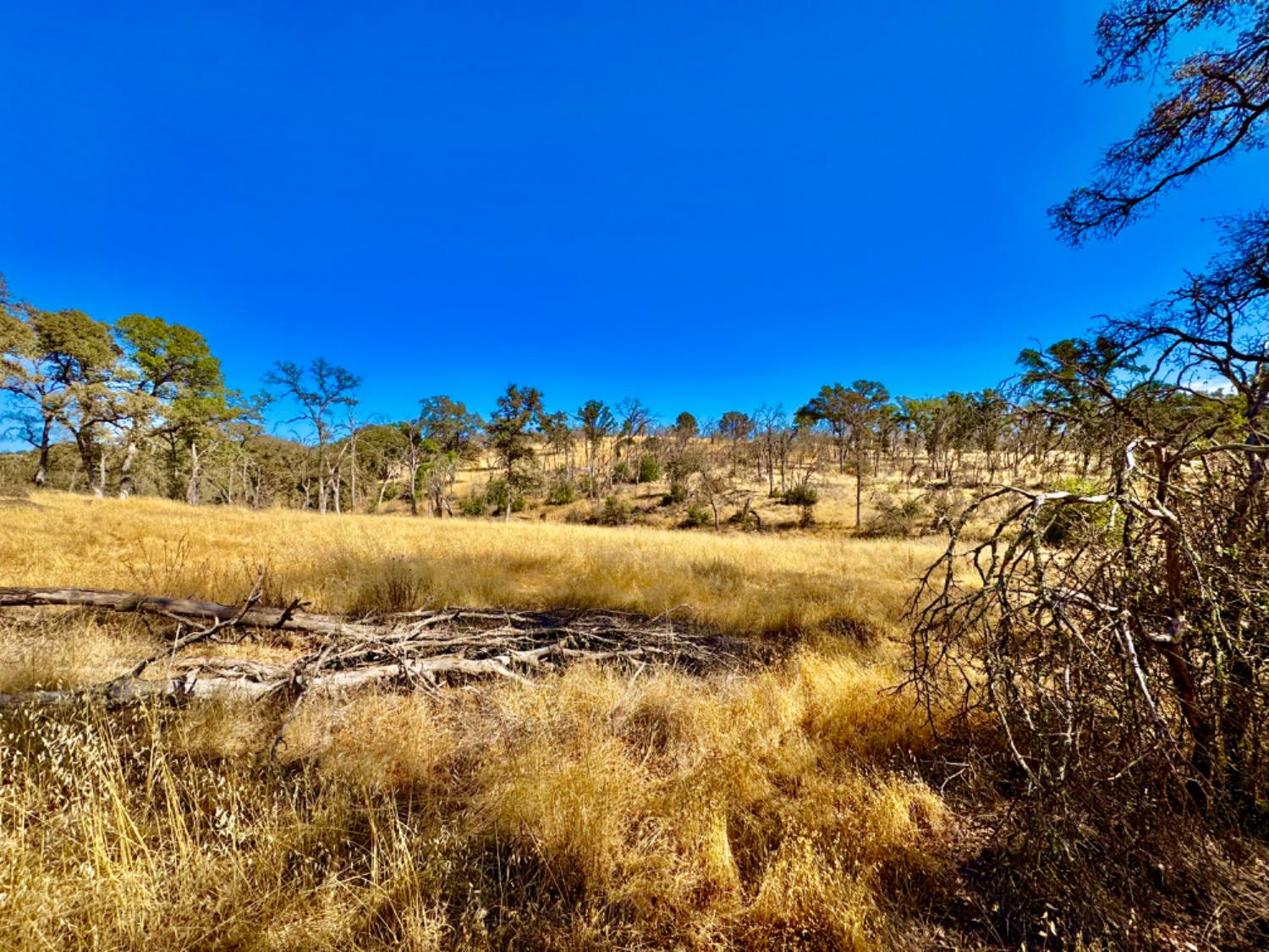 13031 Lone Tree Way Loma Rica, CA 95901 - Photo 9 of 19