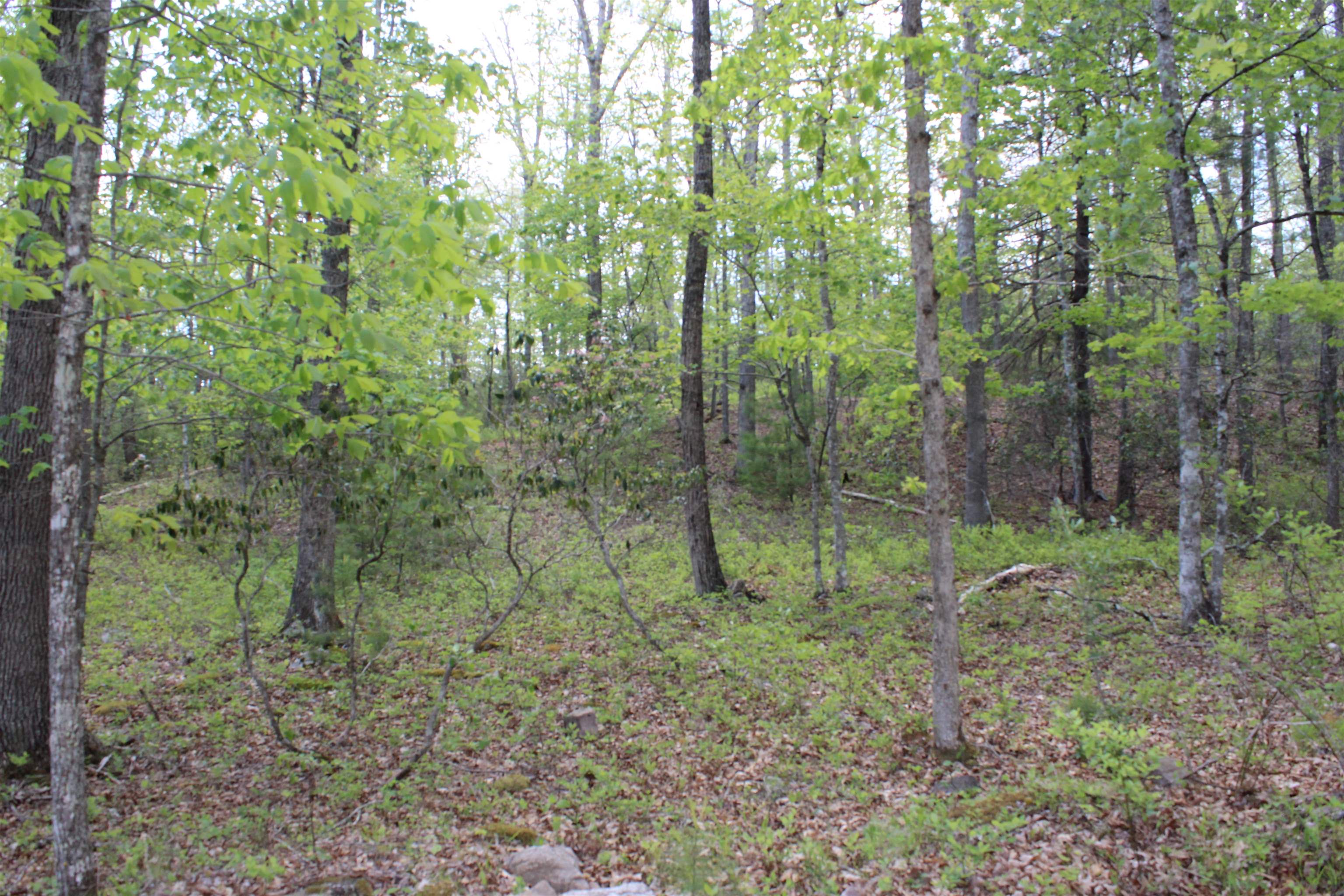625 Hummingbird Lane Monterey, VA 24465 - Photo 8 of 65 a view of outdoor space and green space