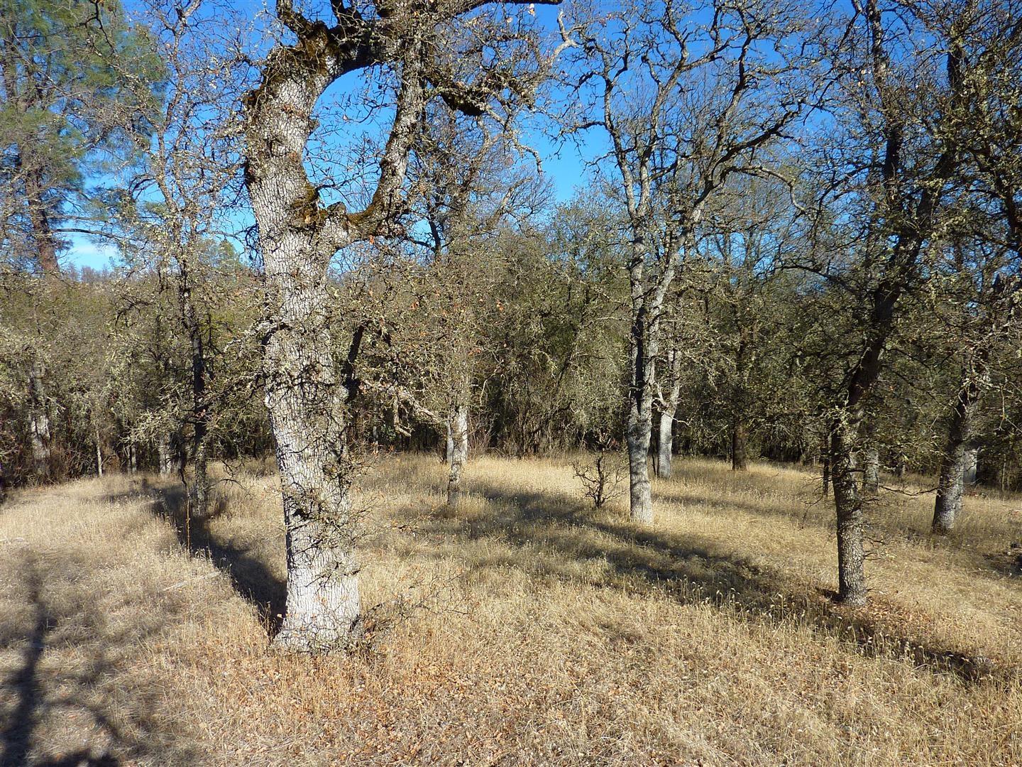 Two 2 Feathers Road Igo, CA 96047 - Photo 5 of 13 P1010774