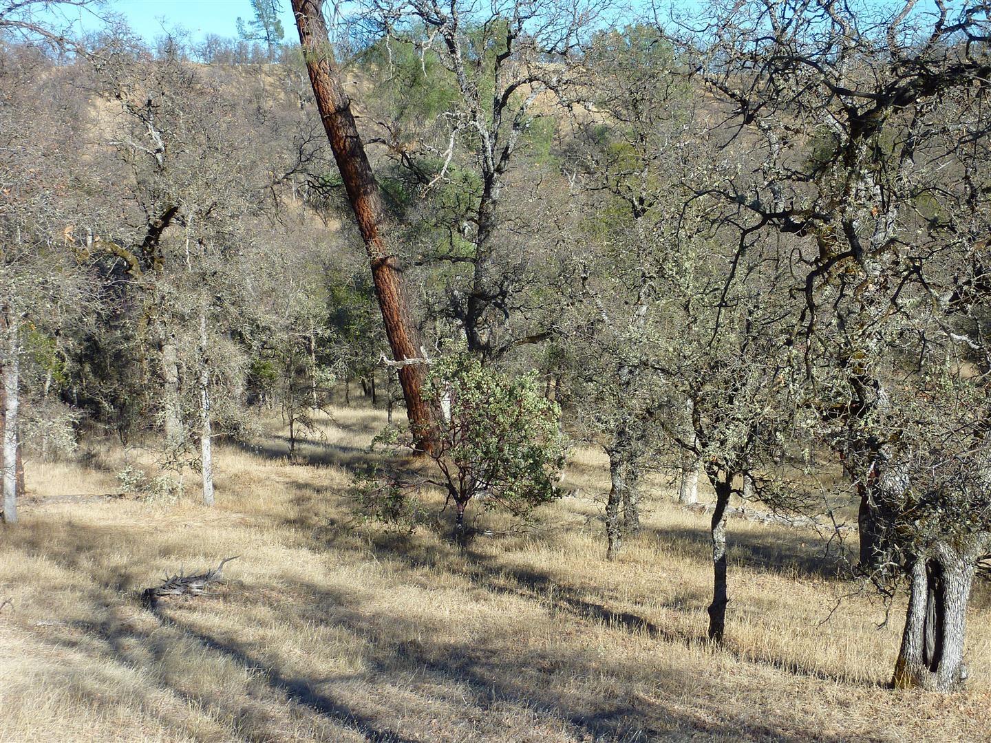 Two 2 Feathers Road Igo, CA 96047 - Photo 6 of 13 P1010783