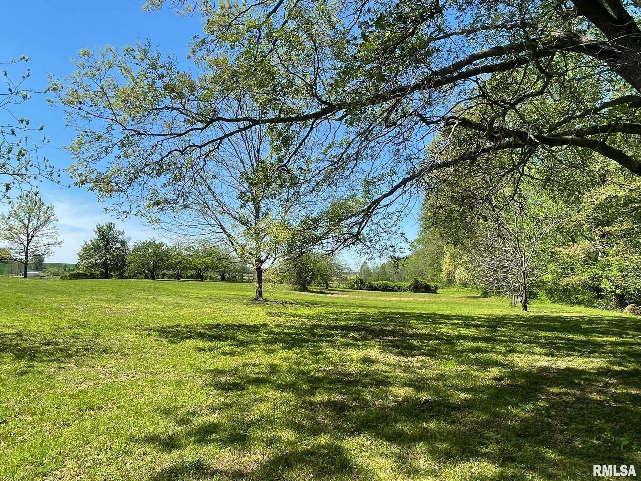 677 Karnak Road Karnak, IL 62956 - Photo 53 of 66