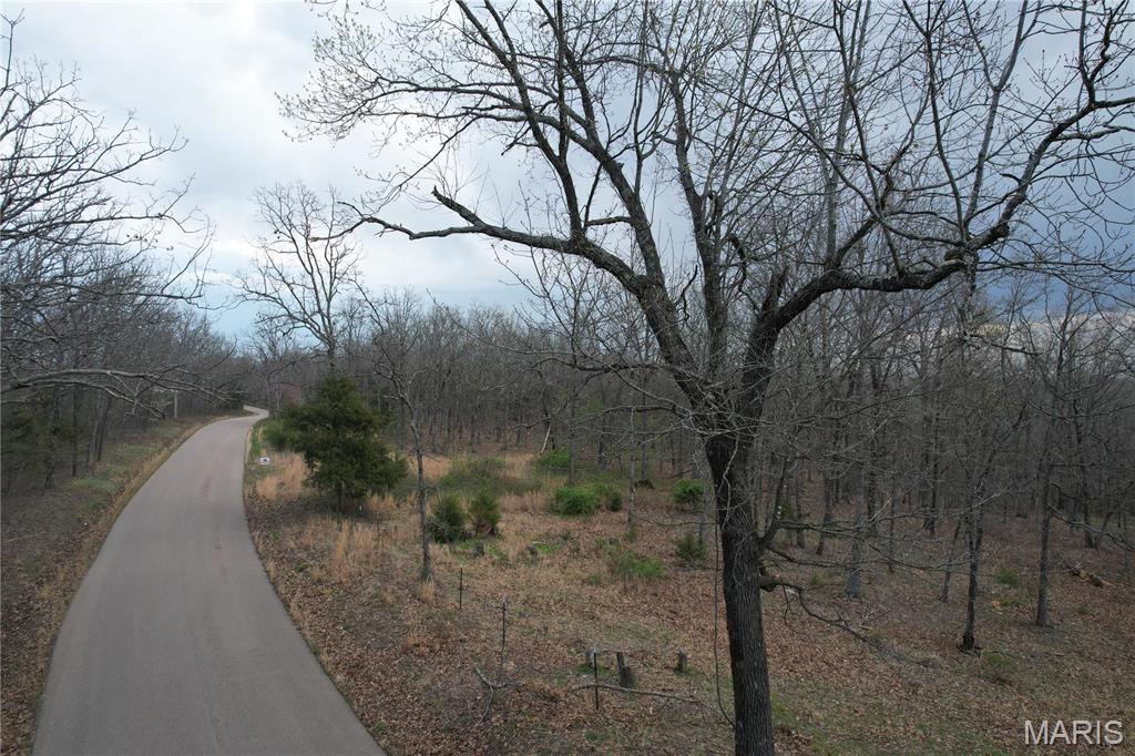 375 Rue Lamande Bonne Terre, MO 63628 - Photo 6 of 7