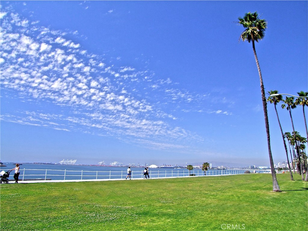 1808 East Appleton Street, Unit 7 Long Beach, CA 90802 - Photo 39 of 44 Bluff Park is nearby