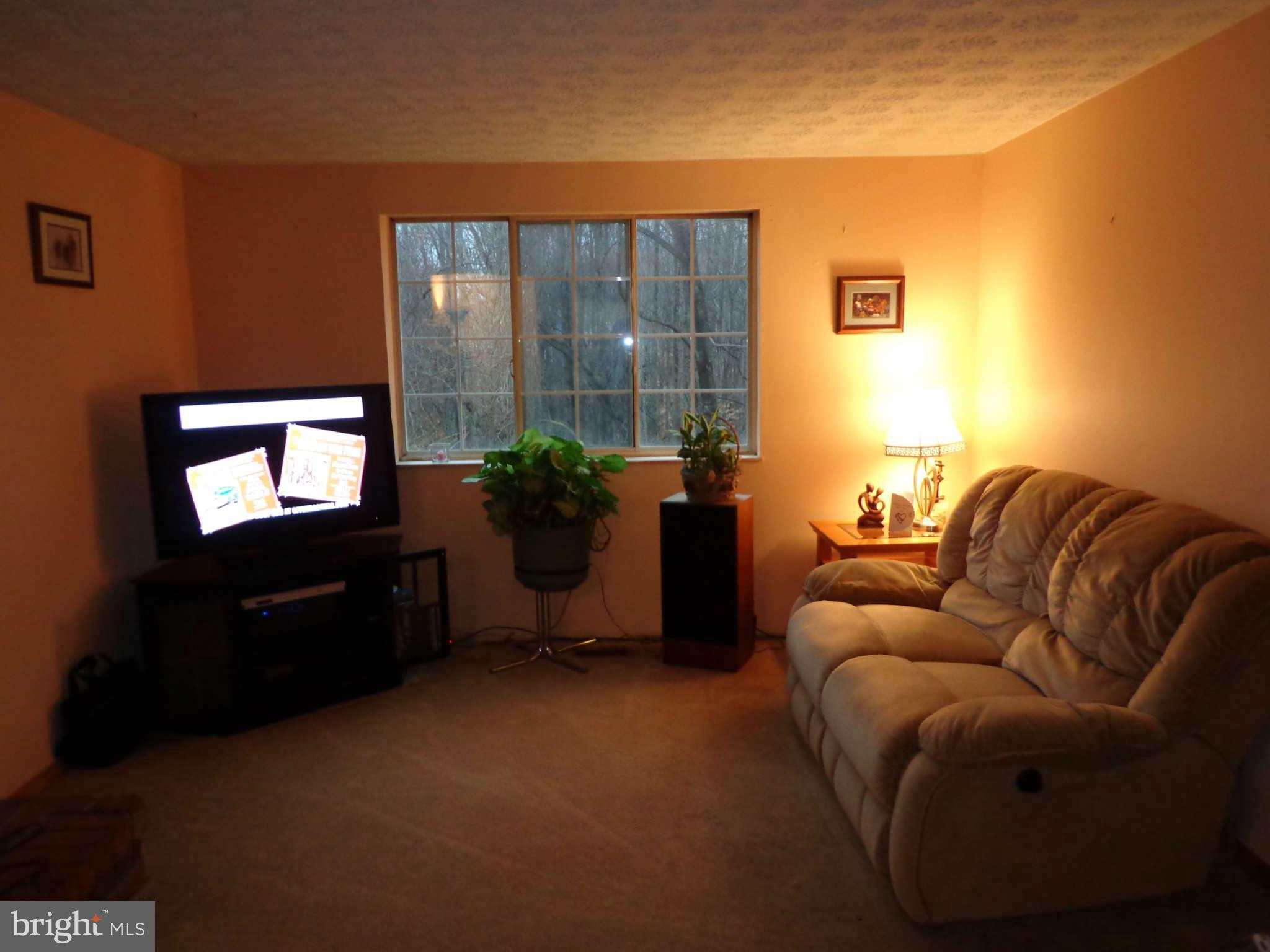 12106 Deka Road Clinton, MD 20735 - Photo 4 of 12 Living Room