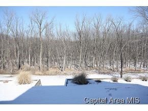 1270 Churchill Road Springfield, IL 62702 - Photo 24 of 24