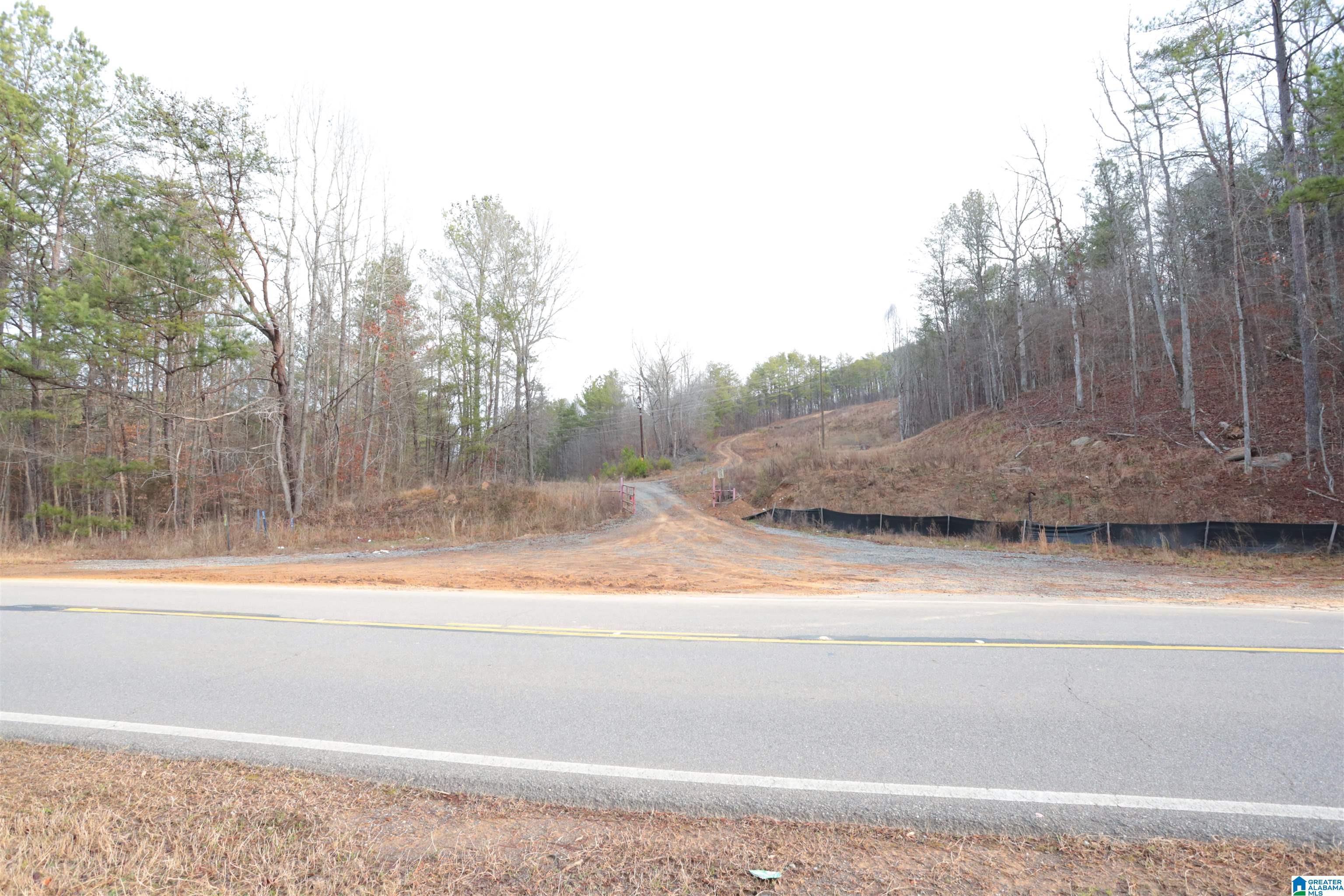 8751 Groundhog Road, Unit 41 ACRES Adger, AL 35006 - Photo 9 of 17